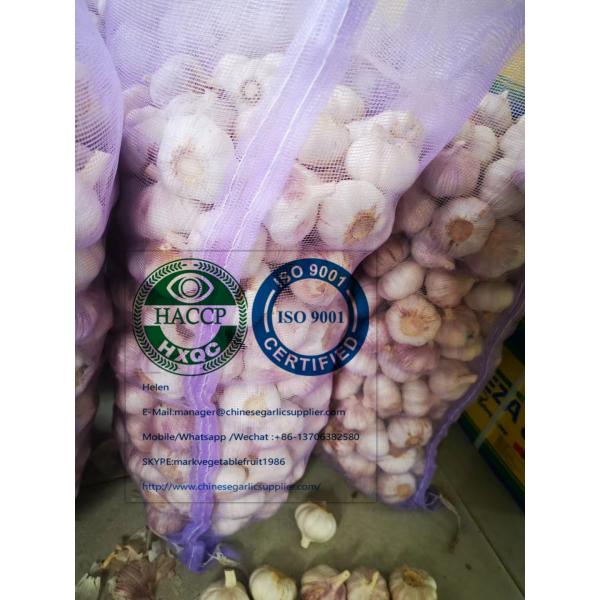 china Normal white garlic with meshbag package to Ecuador Market #3 image
