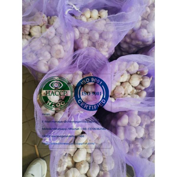 Normal white garlic with meshbag package to Ecuador Market #1 image