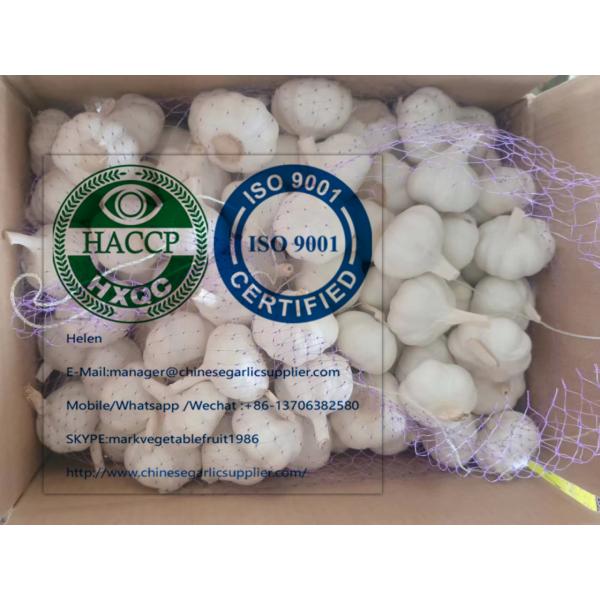 China Pure white garlic with meshbag & carton package to Turkey Market #1 image