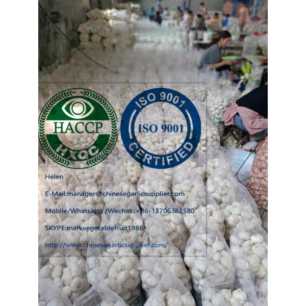 China Pure white garlic with meshbag & carton package to Turkey Market #3 image