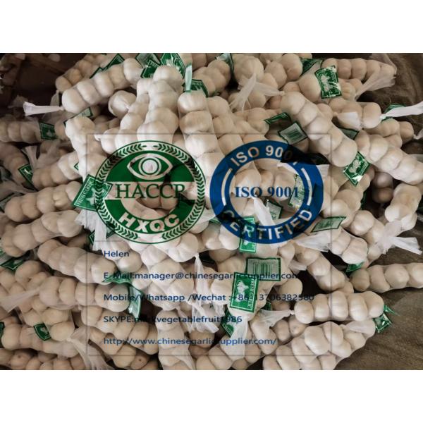 PURE WHITE GARLIC WITH TUBE MESHBAG TO MIDDLE EAST MARKET！ #3 image