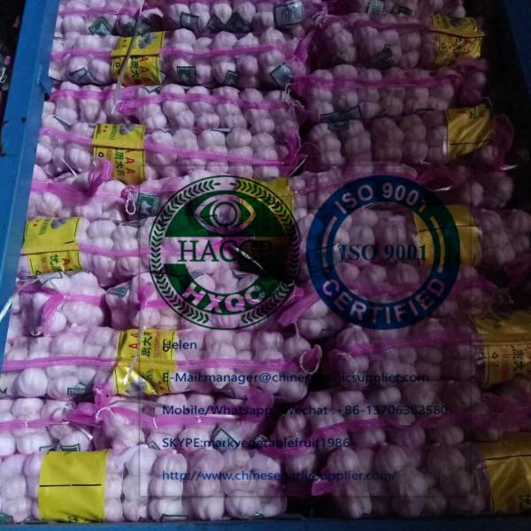 Small Package packed Normal White Garlic To Ukraine Market #3 image