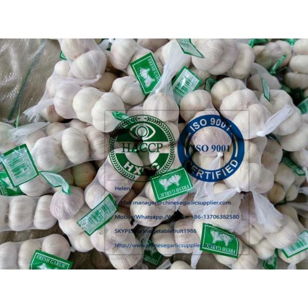 Small Package packed Normal White Garlic To Ukraine Market #2 image
