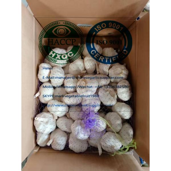 Top Quality China White Garlic With Carton Package To UK Market #3 image