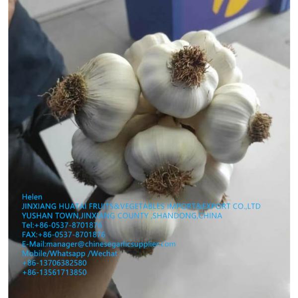 2021 new crop garlic is harvested ,waiting for your orders #1 image