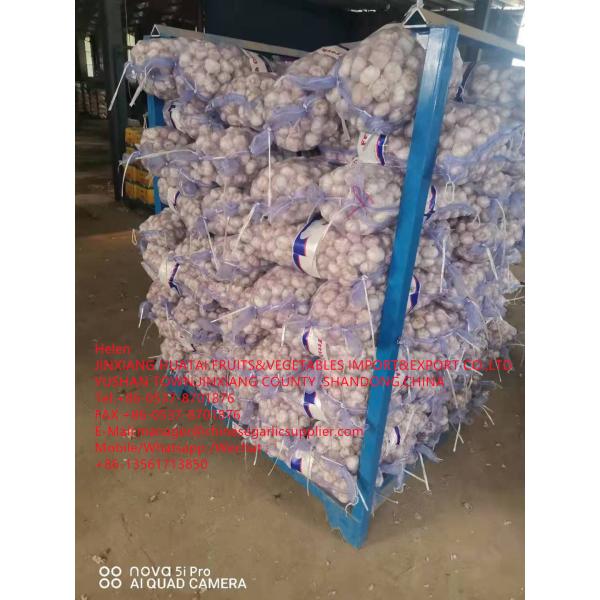 NORMAL WHITE GARLIC ARE EXPORTED TO EGUADOR MARKET WITH 10KG MESHBAG PACKAGE #1 image