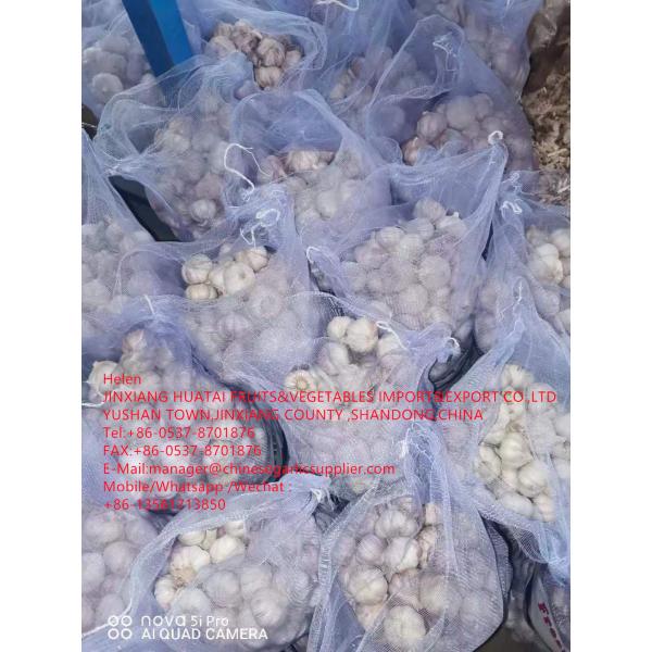 NORMAL WHITE GARLIC ARE EXPORTED TO EGUADOR MARKET WITH 10KG MESHBAG PACKAGE #2 image