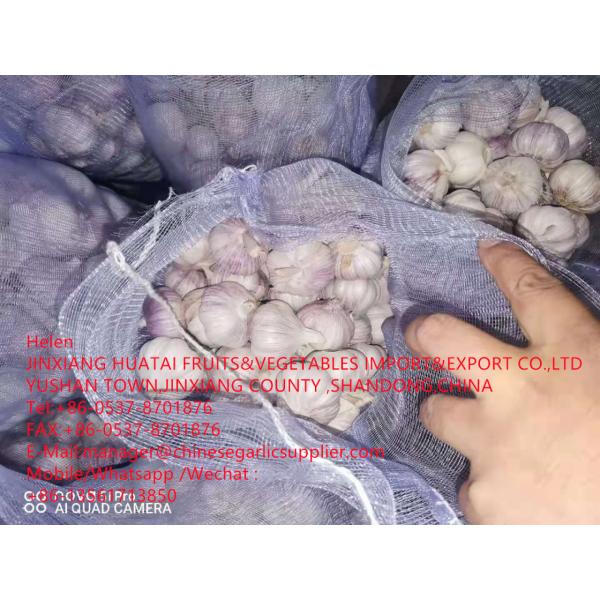 NORMAL WHITE GARLIC ARE EXPORTED TO EGUADOR MARKET WITH 10KG MESHBAG PACKAGE FROM CHINA GALRIC FACTORY #1 image