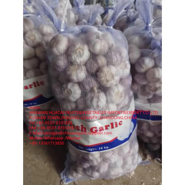NORMAL WHITE GARLIC ARE EXPORTED TO EGUADOR MARKET WITH 10KG MESHBAG PACKAGE FROM CHINA GALRIC FACTORY #2 image