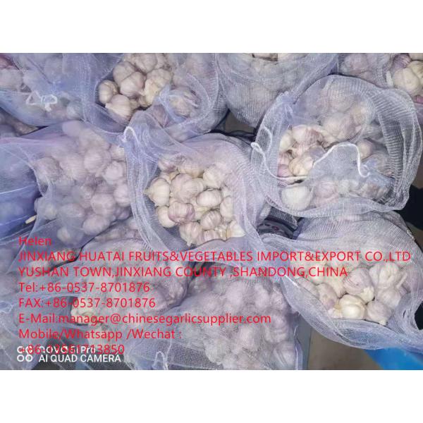 NORMAL WHITE GARLIC ARE EXPORTED TO EGUADOR MARKET WITH 10KG MESHBAG PACKAGE FROM CHINA GALRIC FACTORY #3 image