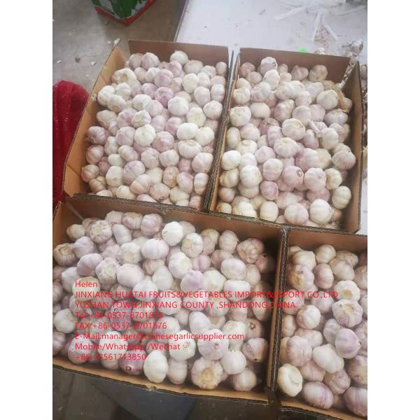 China normal white garlic are exported to Walmart in Latin America Countries #2 image
