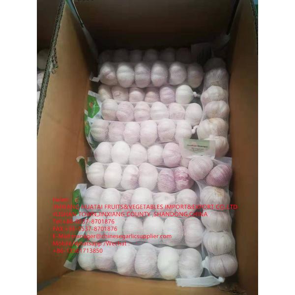 China normal white garlic are exported to Walmart in Latin America Countries #1 image