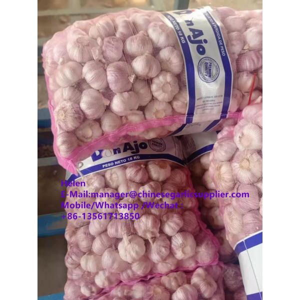 Top quality Normal white garlic with meshbag pacakge to Paraguay market #1 image