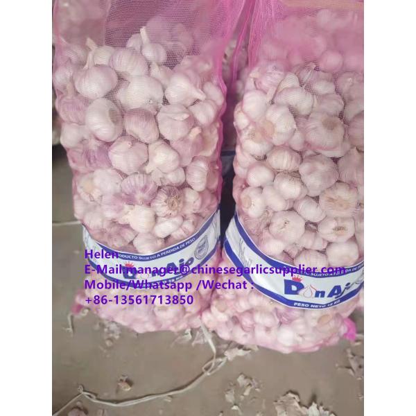Top quality Normal white garlic with meshbag pacakge to Paraguay market #2 image