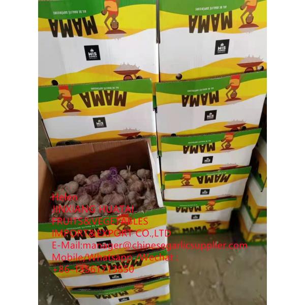 Normal white garlic with 10KG Loose Carton packageTo African market ! #1 image