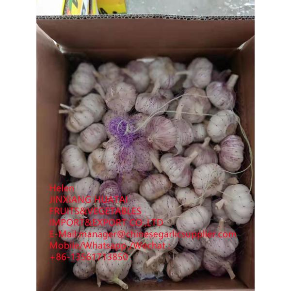 Normal white garlic with 10KG Loose Carton packageTo African market ! #2 image
