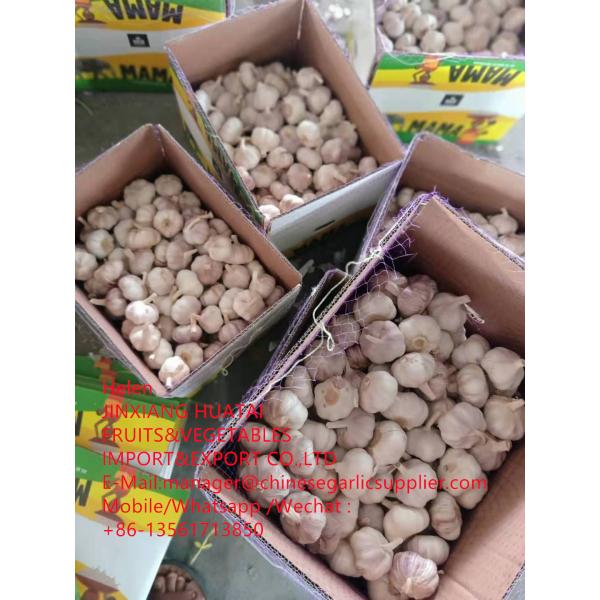 China Normal white garlic with 10KG Loose Carton packageTo African market #3 image