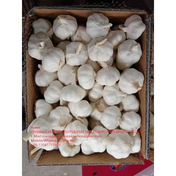 Top quality pure white garlic with carton pacakge to EU market #1 image