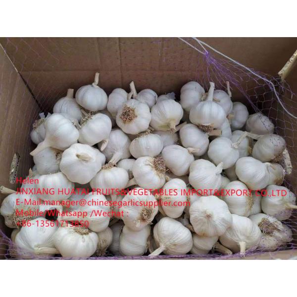 2021 NEW CROP PURE WHITE GARLIC WITH ROOT TO SPAIN MARKET FROM CHINA #2 image