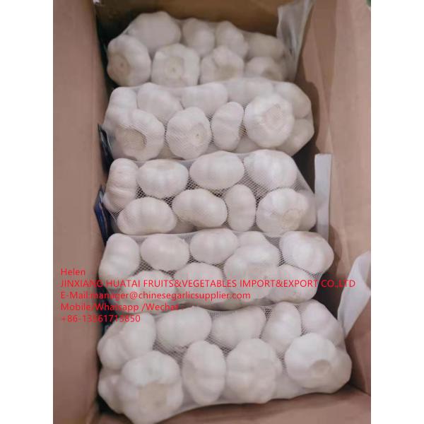 China Pure white garlic with carton and meshbag package to EU Market #2 image