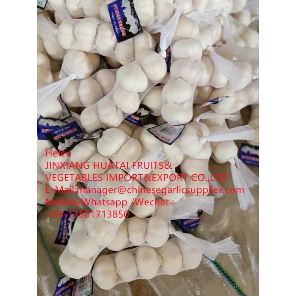 China pure white garlic with tube meshbag are loading to Iraq market ! #1 image