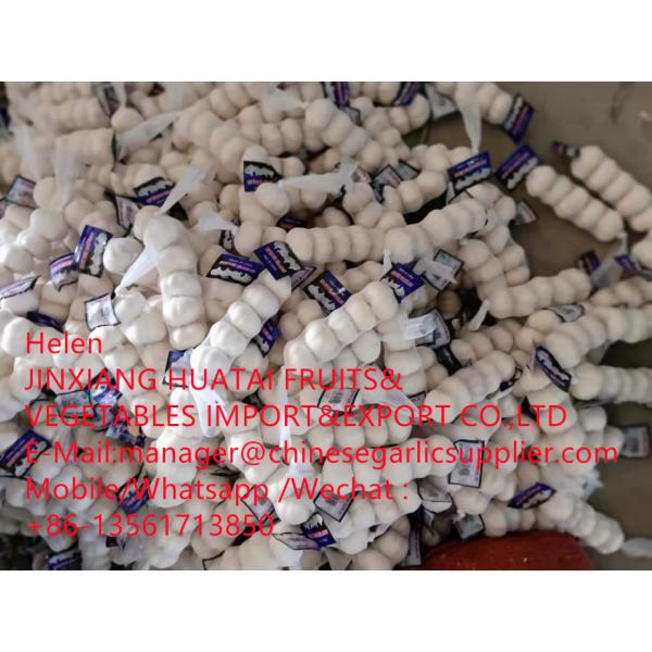 China pure white garlic with tube meshbag are loading to Iraq market ! #2 image