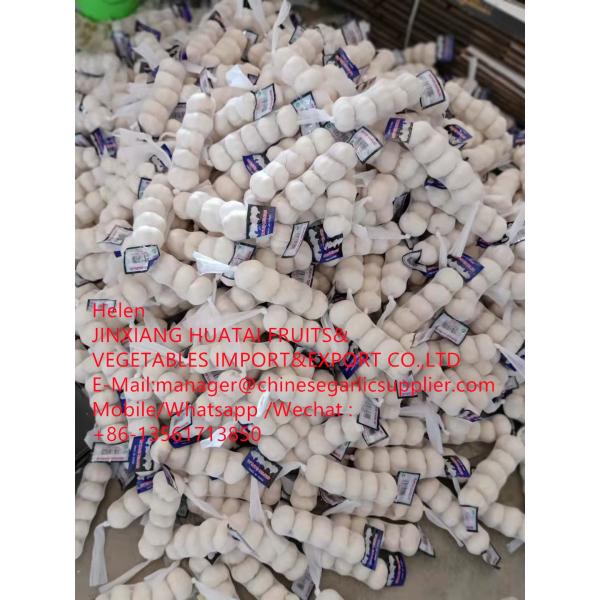 pure white garlic with tube meshbag to Iraq market from china garlic factory #2 image