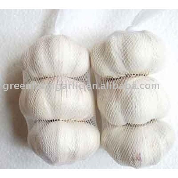 white garlic in 3pcs/500g/1kg mesh bag #1 image