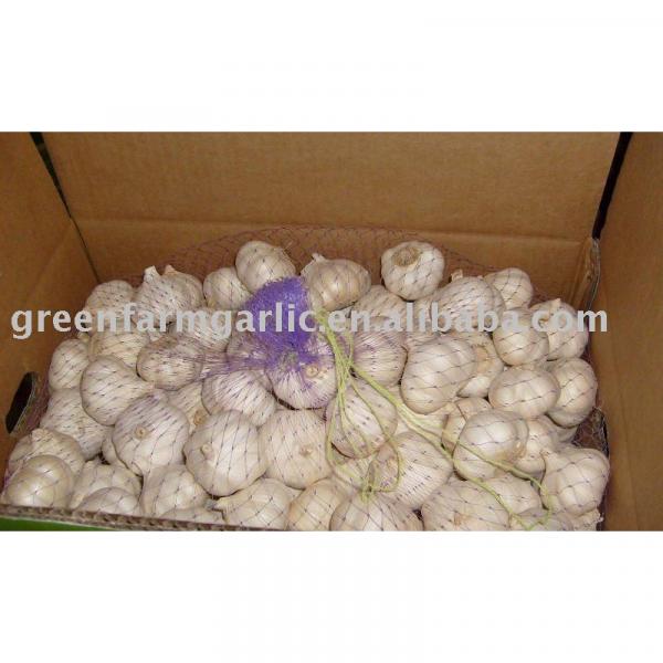 china fresh garlic price #1 image