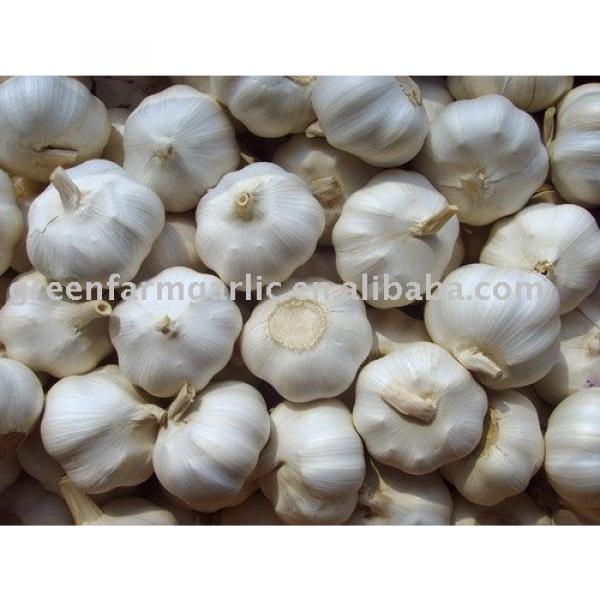 fresh Chinese garlic #1 image