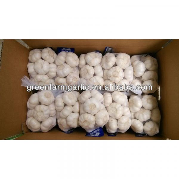 pure white garlic 1kg bag,10kg carton #1 image