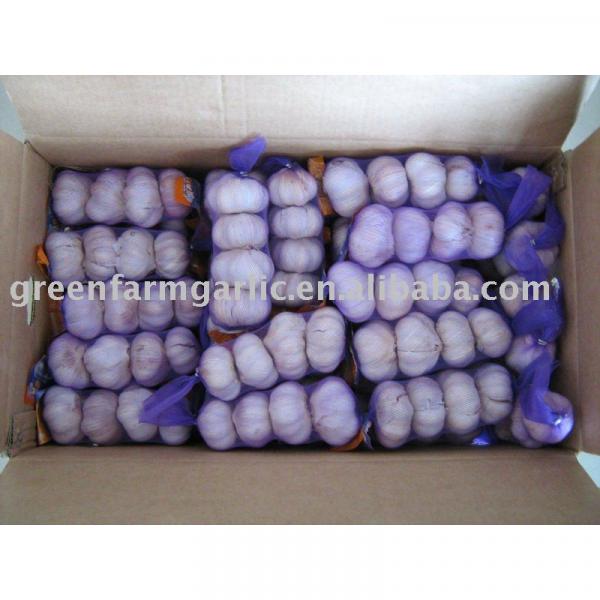 normal white garlic 200g in 10kg carton #1 image