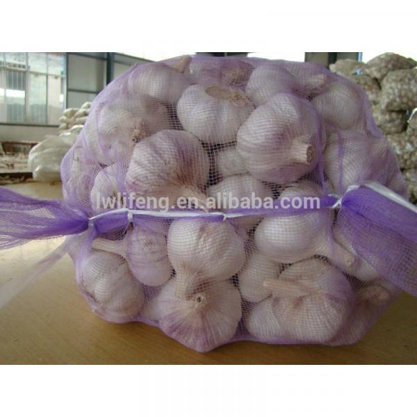 manufacturer of 2017 New Crop of Chinese Normal White Garlic #3 image