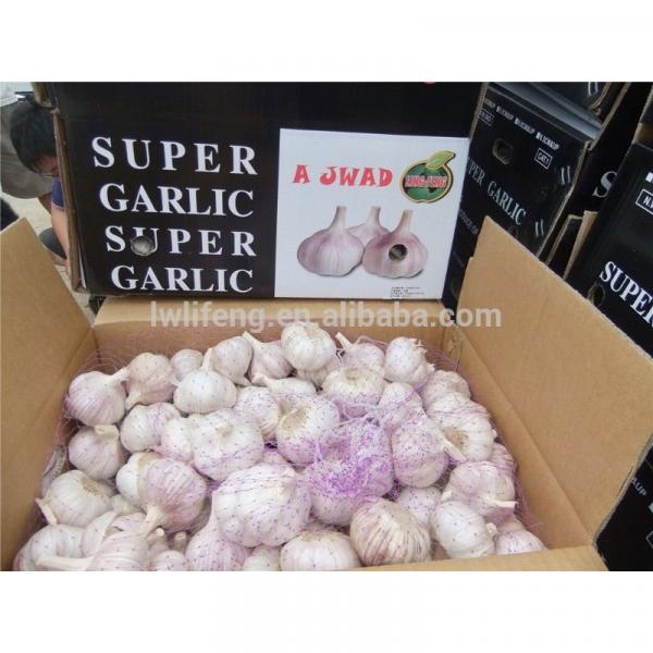Grade A of 2017 New Crop Chinese Normal White Garlic / Fresh Garlic #2 image