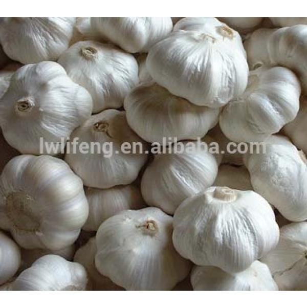 2017 chinese perfect quality pure white garlic #2 image
