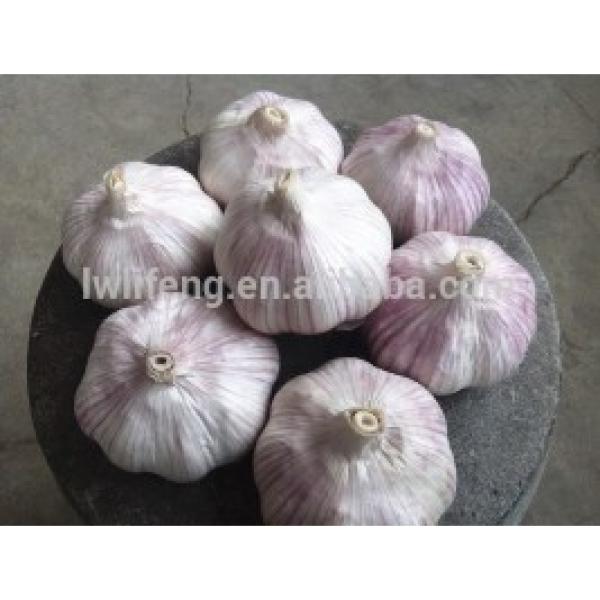 2017 new crop of chinese normal white garlic #1 image