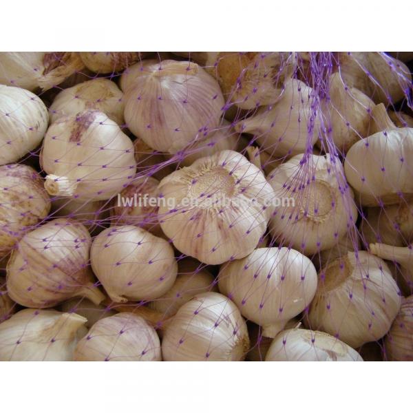 chinese cheapest fresh white garlic #1 image