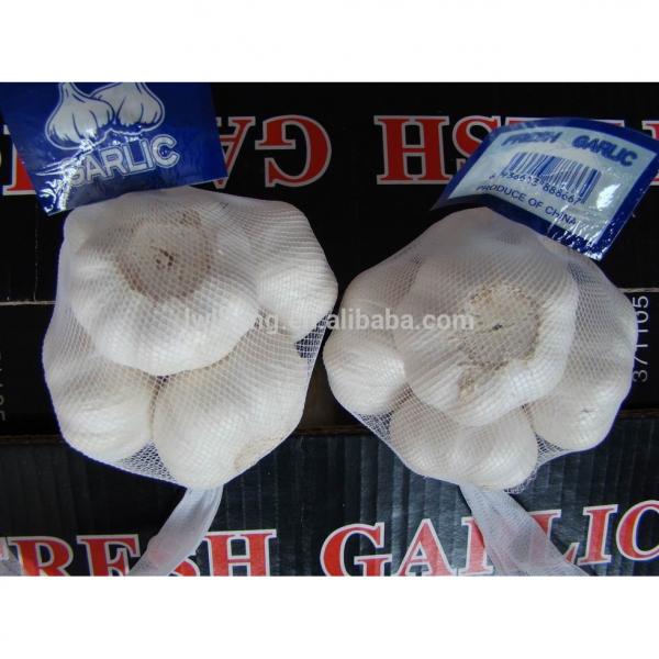 High Quality Chinese fresh White Garlic for sale / Pure White Garlic #3 image