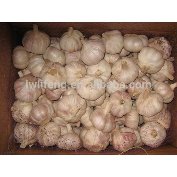 Grade A of 2017 New Crop Chinese Normal White Garlic / Fresh Garlic #3 image