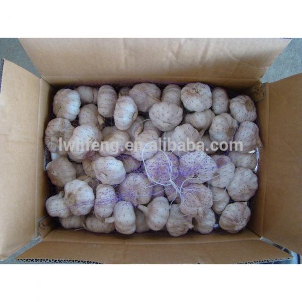 Grade A of 2017 New Crop Chinese Normal White Garlic / Fresh Garlic #4 image