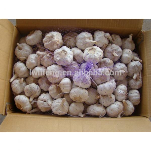 Most Favourable Price of 2017 Chinese Normal White Garlic / Fresh Garlic #4 image