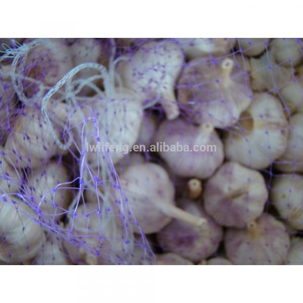 lowest price and high quality Chinese Garlic / White Garlic #4 image
