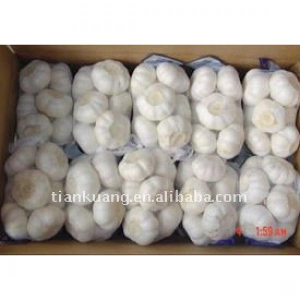 China pure white garlic #1 image