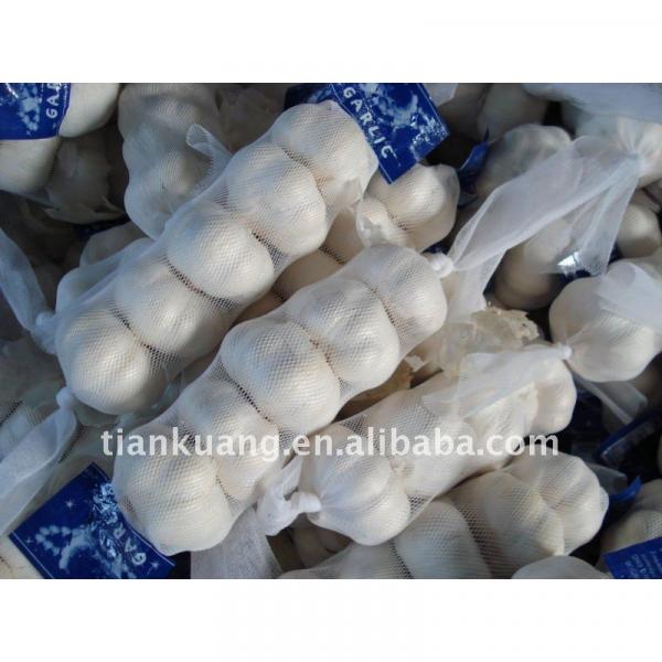 chinese pure white garlic #1 image