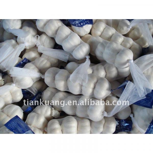 2011 china export garlic #1 image