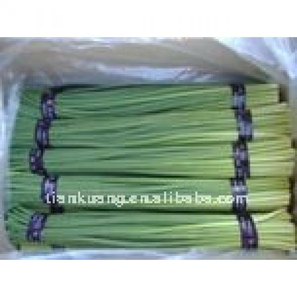 garlic stems #1 image
