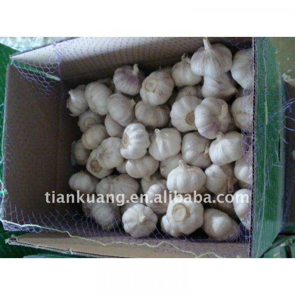 china garlic supplier #1 image