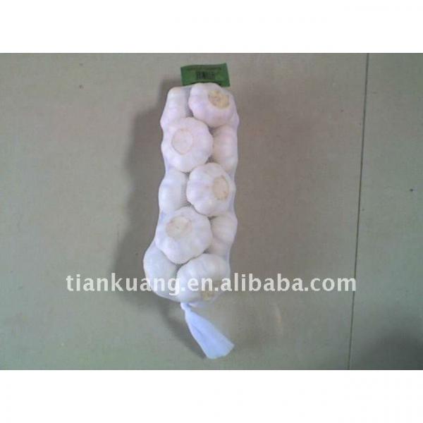 6cm pure white garlic #1 image
